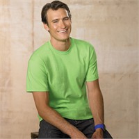 Hanes ComfortSoft 100% Cotton T-Shirt