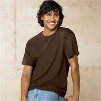 Hanes ComfortBlend 50/50 T-Shirt